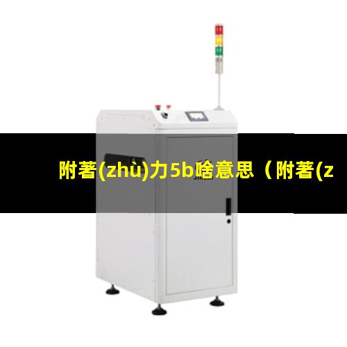 附著(zhù)力5b啥意思